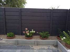 palisada-2